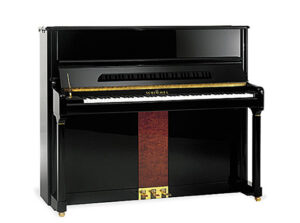 Schimmel 125