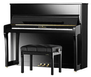 Schimmel 122E