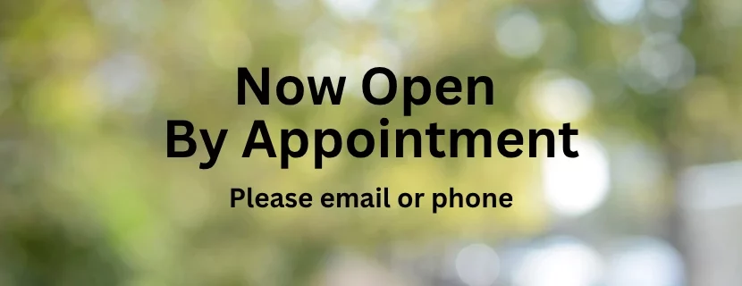 Our Appointment System