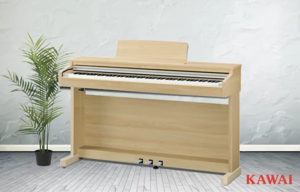 Kawai CX202