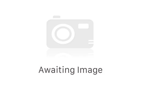Schimmel 128