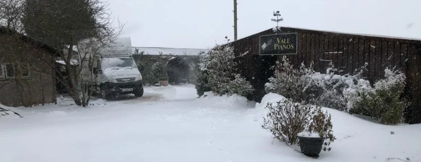 Snow Day!
