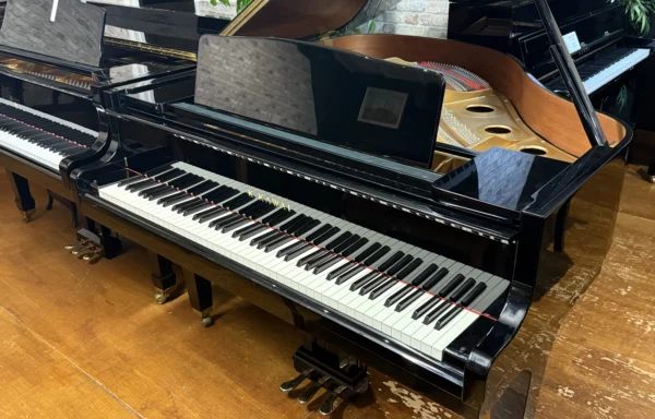 Kawai GE20