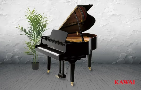Kawai GL20