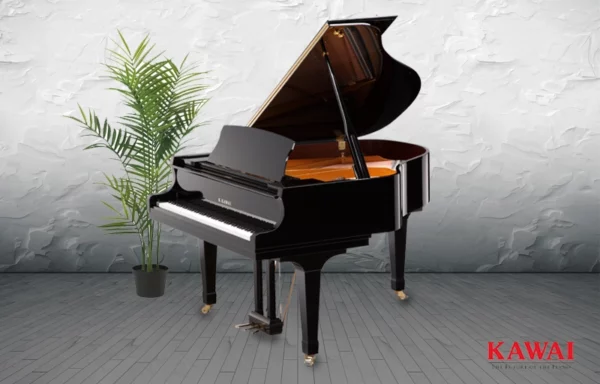 Kawai GX1